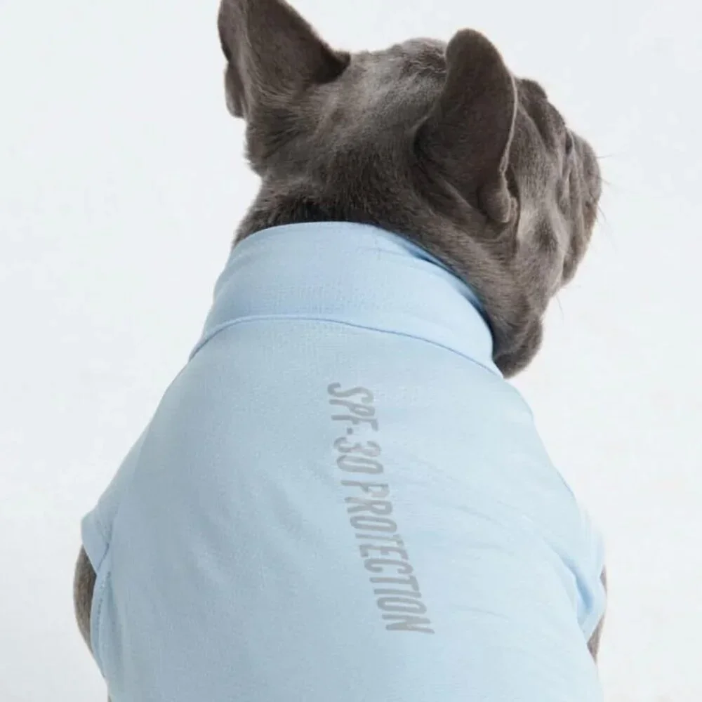 NEW Spark Paws Sunblock Dog T-Shirts (Pack of 2: Grey & Blue)